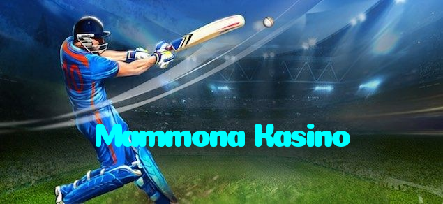 available types of Mammona Kasino bet including pre-match live express and system bets
